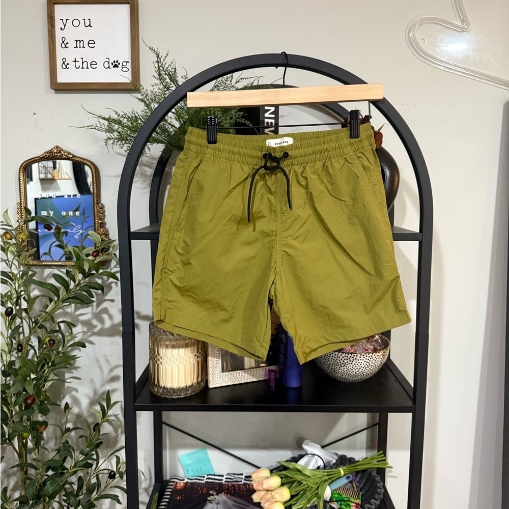 men Everlane Olive Green Shorts size xs